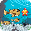 Run Fish Run
